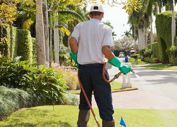 About Witten SD Pest Control